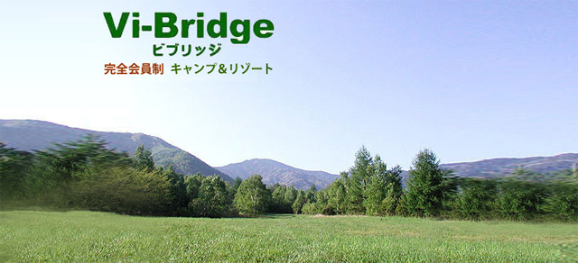 Vi-Bridge